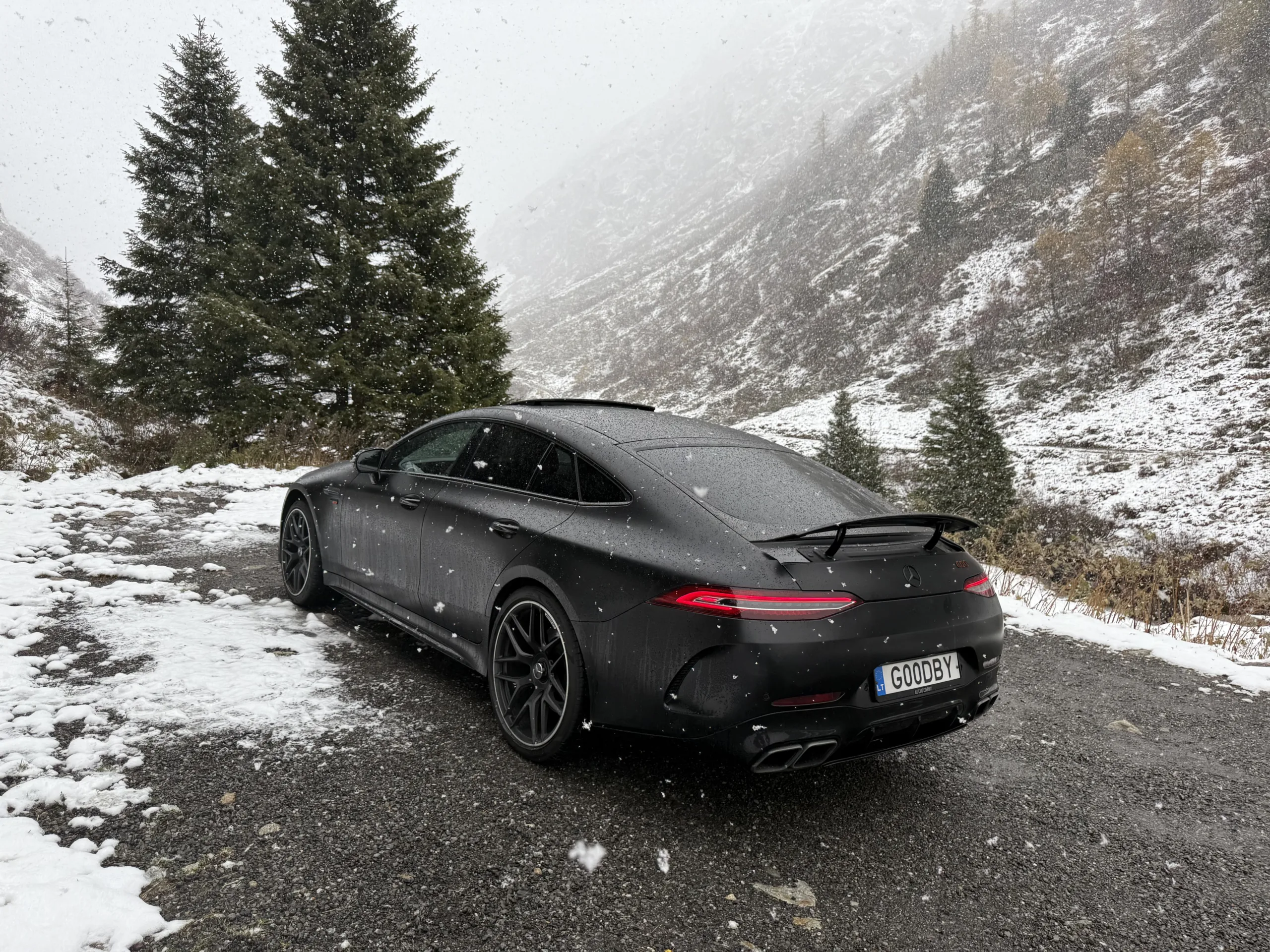 Mercedes-Benz AMG GT, 2019