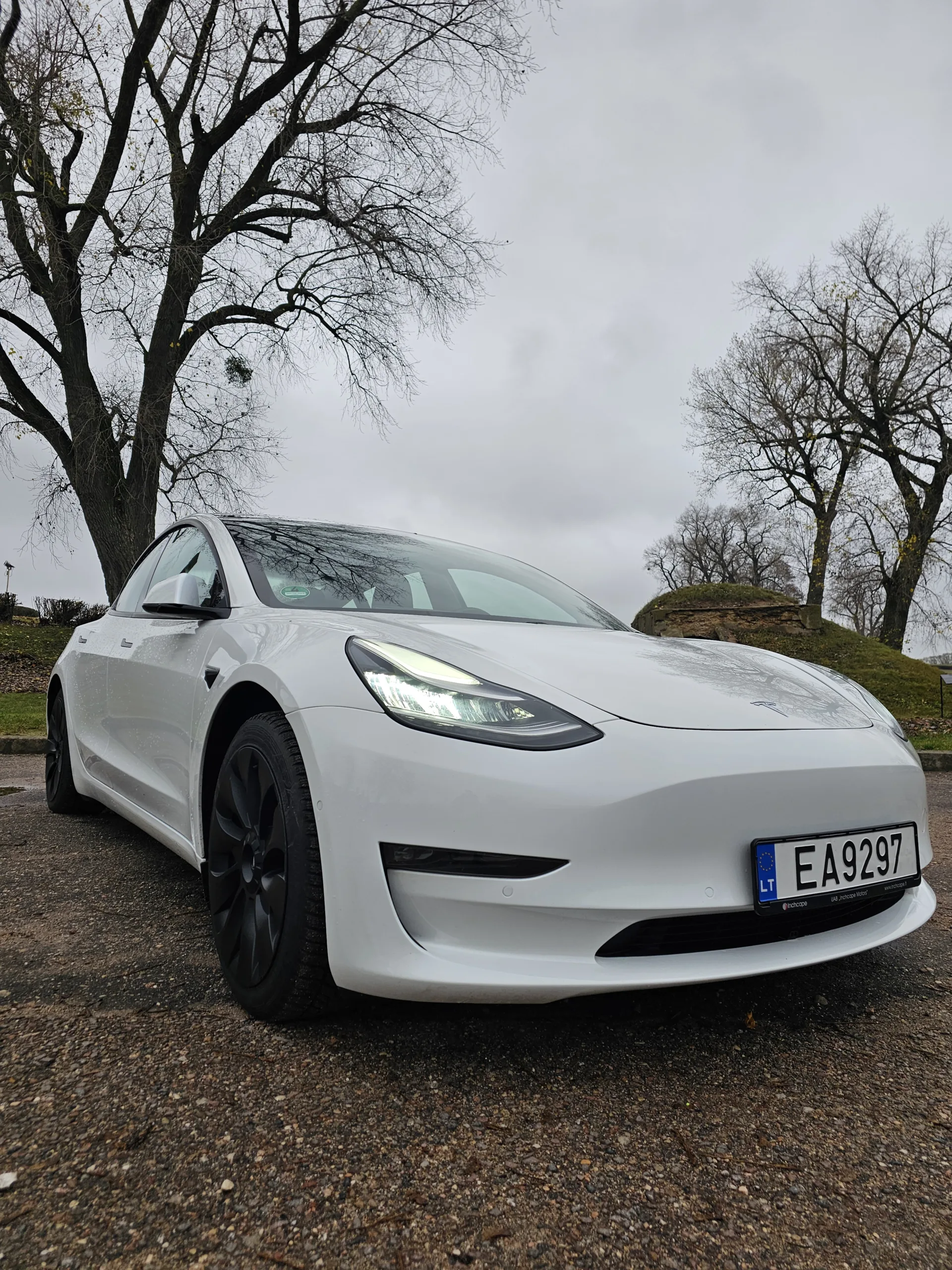 Tesla Model 3, 2021