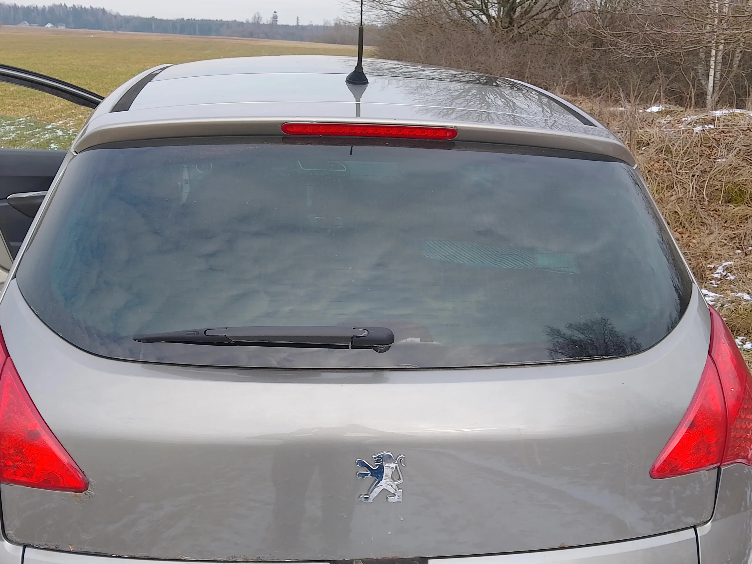 Peugeot 3008, 2009