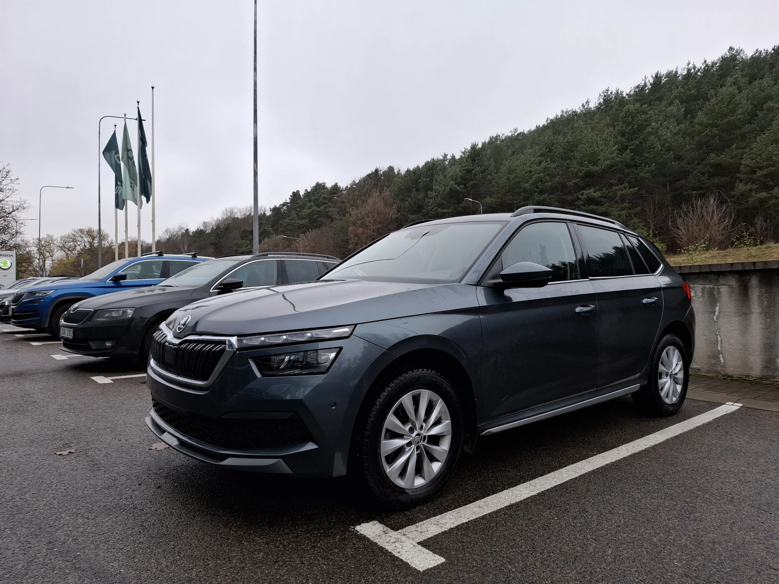 Skoda Kamiq, 2020