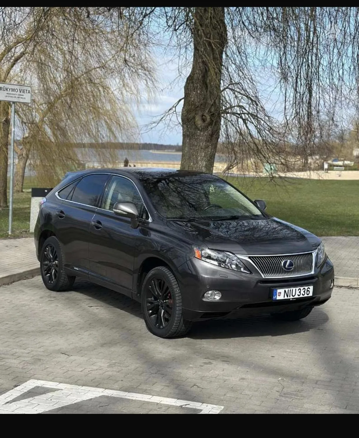 Lexus RX 450h, 2010