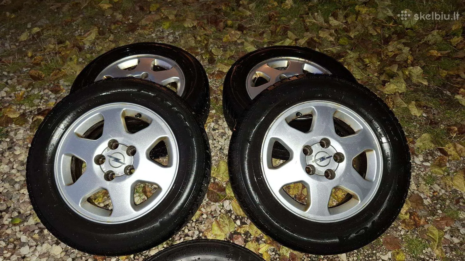 Debica Opelis 195/65 R15